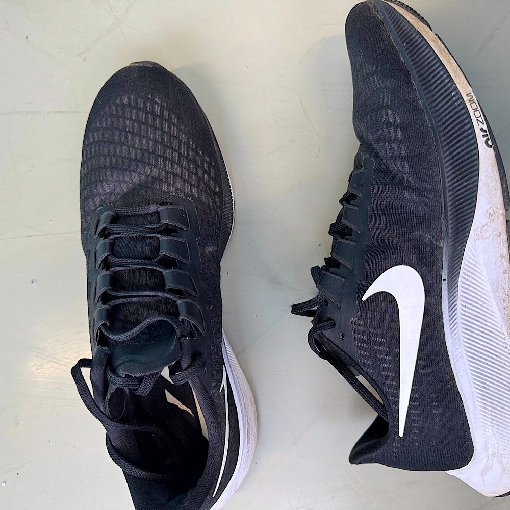 Nike Air Zoom Pegasus Mens Running Casual Shoe 12 US